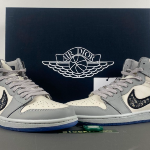 Dior High Top Jordan 1
