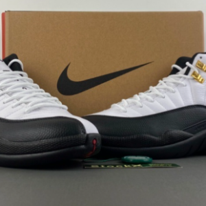Air Jordan 12