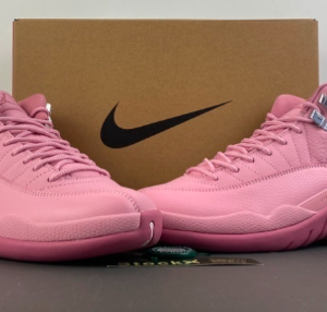 Air Jordan 12